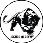 آکادمی ورزشی جگوار | Jaguar sport academy