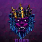 ER_GAMER