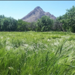 روستای گردشگری وانشان