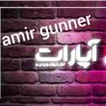 amir gunner