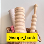 snpe_bash