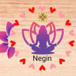 Negin-1392