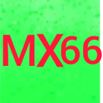 MATIN X 66