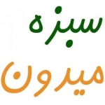 سبزه میدون