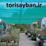 toorisayban09119093923