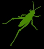 grasshopper3d.ir