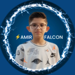 AMIR FALCON | امیر فالکن 