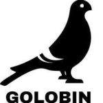 درمان کبوتر GOLOBIN