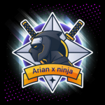 Arian x ninja