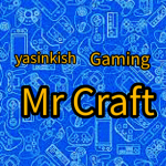 Mr Craft