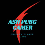 ASH PUBG GAMER