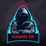 HAMINXR