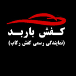 شرکت کفش باربد