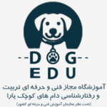 Dogedu