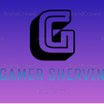 GAMER SHERVIN