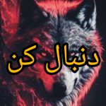 امیررضا دهمرده