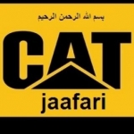 cat20