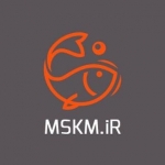 آموزش برنامه نویسی  MSKM.iR