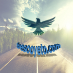 besooyeto.com