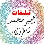 امیر محمد شاطرزاده