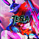 TESLA - FF