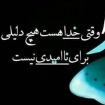 یااباصالح المهدی (عج) ادرکنی