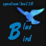 Blue bird(باحال تر از باحال)