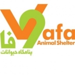 پناهگاه حیوانات وفا Vafa Animal Shelter