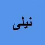 گروه نیلی