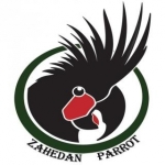 zahedanparrot