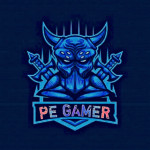 PE GAMER