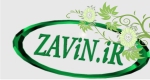 zavin