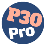 P30 programer