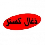 ذغال گستر