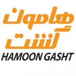 هامون گشت