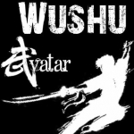 avatarwushu