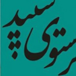 پرستوی سپید