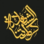 یَا رَفیقَ مَن لَا رَفیقَ لَه