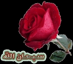 دوستدار علی(رضی الله عنه)