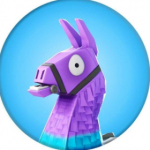 EPIC LLAMA