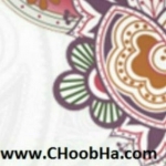 choobha@