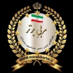 مربی برتر