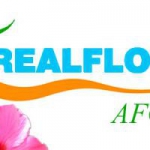 RealFlow