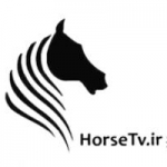تلویزیون اسب و سوارکاری ایران - HORSE TV  IRAN