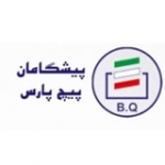 پیشگامان پیچ پارس