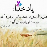 سیدرضاموسوی