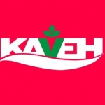 Kaveh Industrial Group