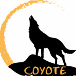 coyote