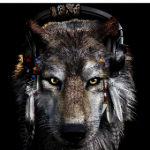 black_wolfs