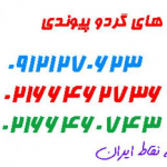 نهالستان گردو چندلر